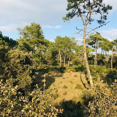 Les Corallines, Situation Ideale Et Authenticite Daire